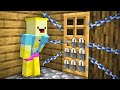 Je peux CAPTURER tous les Villageois sur Minecraft !!