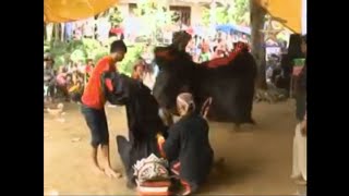 Eling eling-ebeg tari barongan-ARGO TURONGGO SAKTI-live karangkemiri Cilacap-Jawa-Indonesia