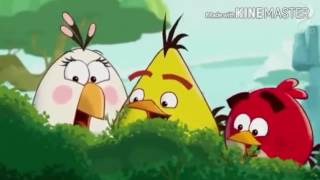 Opening to Angry Birds Craptastic: The Movie UK DVD (2016) [Homemade]