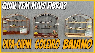 QUAL ESPÉCIE TEM MAIS FIBRA COLEIRO / BAIANO / PAPA-CAPIM