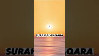 SURAH AL-BAQARA |Ayat 101| Recitation by Mishary Rashid Alafasy | Islam The Heavenly Path