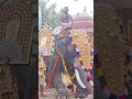 എന്നെ ആരും പിടിക്കേണ്ട😳😳. elephant animals soudiarabia pambadyrajan india oman ♥️subscribe♥️