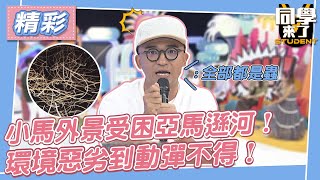 【精華】小馬外景受困亞馬遜河！　環境惡劣到動彈不得！