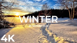 Winter 4K Video - Amazing Winter Nature Scenes with Relaxing Ambient Music - Winter Ambience