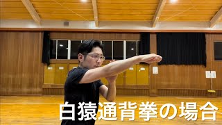 【通背拳】基本手型(白猿通背拳・祁氏五行通背拳)