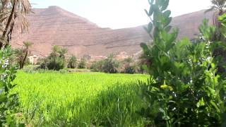 Most Beautiful Oasis (Timoula Smougen) Morocco - جمال واحة تيمولا سموكن