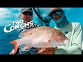 How to Catch SNAPPER, MACKEREL, AMBERJACK on the Reef and Wrecks | Two Conchs Online TV/Episode 7