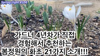 봄빛가드닝- 가드너 4년차가 직접 경험해서 추천하는 리얼 노지정원의 21가지 화초!!!/야생화/구근식물/정원가꾸기/정원꾸미기/화초/가성비