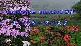 【LightroomClassic新機能】マスクにトーンカーブが追加。簡単で印象的に仕上げることが出来るようになりました。