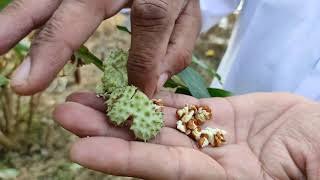 गाय भैंस के दस्त पतला गोबर एक खुराक में बंद || Cow buffalo diarrhea thin dung closed in a day