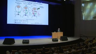 Immune Checkpoint Blockade in Cancer Therapy: Prospects for Cures