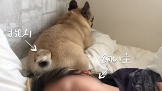 飼い主の顔の前で平然とオナラを何発もかます犬