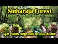 Biodiversity Hotspots | Sinharaja Rain Forest | Kudawa Entrance | Sri Lanka