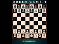 The Queens Gambit