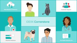IDEXX Cornerstone