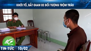 Khởi tố, bắt giam 02 đối tượng trộm trâu | THKG