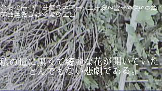 今から丁度三年前の八月十七日午後二時四十八分五十秒、