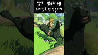 젤다의전설 - 왕국의 눈물 - 뇌지컬로 말 길들이기 #shorts