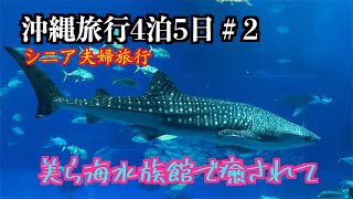 沖縄旅行４泊５日＃２【シニア夫婦旅行】美ら海水族館癒し空間