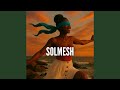 Solmesh