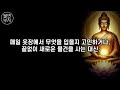 혼자서도 행복한 삶을 사는 사람들의 비밀ㅣ부처님이 가르쳐준 고독을 즐기는 법ㅣ부처님말씀ㅣ수면영상ㅣ편안한밤ㅣ철학과명언ㅣ인생지혜ㅣ긍정의힘ㅣ힐링오디오북