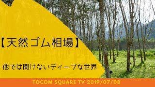 【天然ゴム相場】(19/7/8)「TOCOMスクエアTV」商品先物相場展望