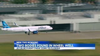 Two bodies found in JetBlue plane's wheel well