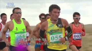한-몽골 하프 마라톤 대회 / YTN