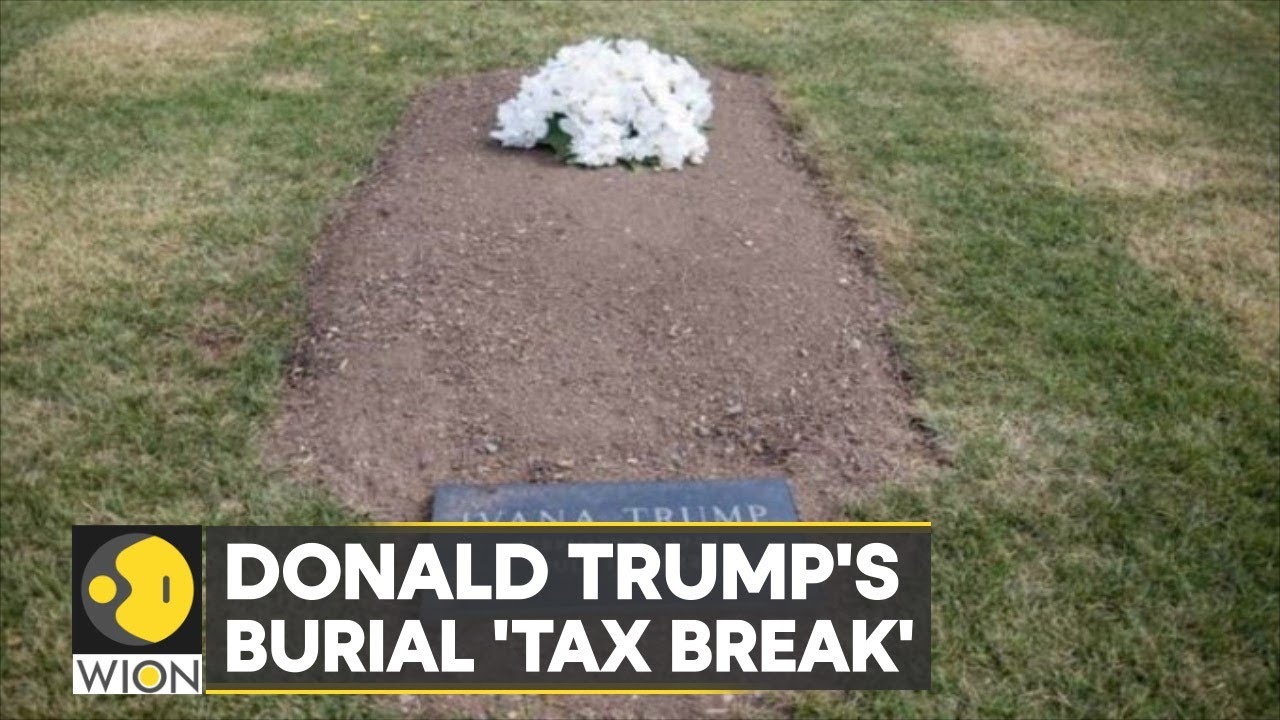 WION Fineprint: Will Ivana Help Trump With Tax Breaks From Beyond The ...