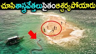 రాత్రికి రాత్రి సముద్రంలో నుండి ఏం బయటకు వచ్చిందో చూసి ఒక్కసారిగా వణికిపోయిన శాస్త్రవేత్తలు