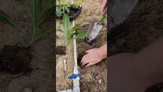 Top 3 Gardening Tools for New Gardeners