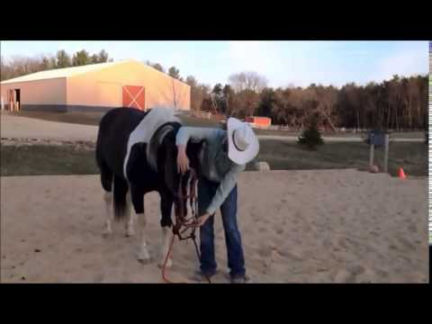 Habits Of A Horseman - How To Fix A Hard To Bridle Horse - YouTube