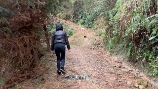 小婷出去办事几天，一回家听说猫丢了，连忙带着狗狗出门找