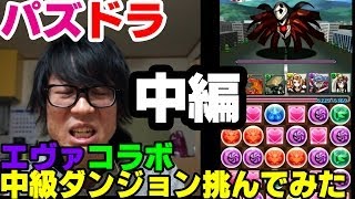 【パズドラ】エヴァコラボ中編！エヴァコラボ中級ダンジョン挑んでみた！