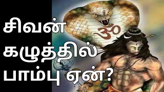 சிவன் கழுத்தில் பாம்பு ஏன்/Why is the snake in Shiva's neck|Tamil|Karpathai karpipom