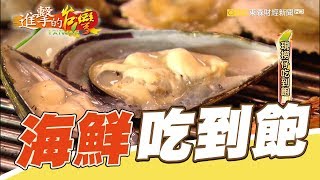 地表最強！現撈仔吃到飽  第247集《進擊的台灣》part1