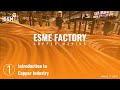 ESME FACTORY | Copper Industry | Introduction to the Industry