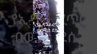 #የኢድልሠገዳ_#በውቢቷ_#ደሴ