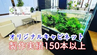 お客様ご依頼のオリジナルキャビネット60㎝　詳細ご案内AquaRevue Neo CH☆Official☆