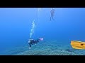 스쿠버여행 @ 필리핀 말라파스쿠아 2024년12월 scuba trip to malapascua philippines dec 2024