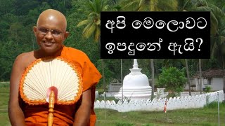 අපි මෙලොවට ඉපදුනේ ඇයි?