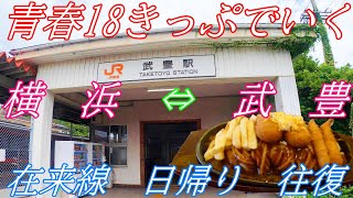 青春18きっぷでいく!　横浜 ⇔ 武豊　 在来線 日帰り往復の旅！【武豊線】