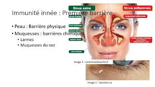 Sec 3 - 16 Système Lymphatique