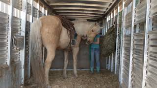 Hailey loading and unloading Goldie