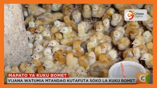 Vijana watumia mtandao kutafuta soko la kuku Bomet