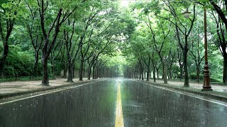 Heavy Rain in a Leisurely Park, Rain Sound that makes you Fall Asleep - Study, Meditation