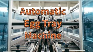 Fully Automatic Egg Tray Machine | High-Speed Paper Pulp Molding System | high profit business