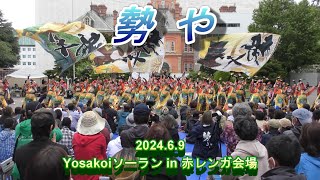 勢や　　Yosakoiソーラン in 赤レンガ会場　2024.6.9