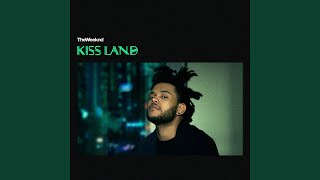 Kiss Land