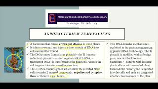 Agrobacterium tumefaciens #Glossary #Terminologies101withLucy #MolecularBiology #Biotechnology